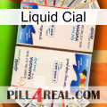 Liquid Cial kamagra1